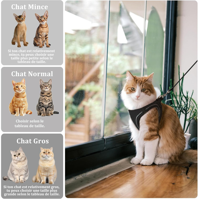 Нашийник для котів Qianruida з повідком, регульований, зручний, дихаючий, світловідбиваючий (Чорний XS)