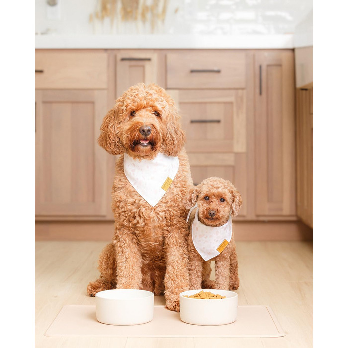 Силіконова підкладка для корму Remy+Roo для собак і котів, преміум, водонепроникна, нековзка, миється в посудомийці, для їжі та води, пилючно-синя