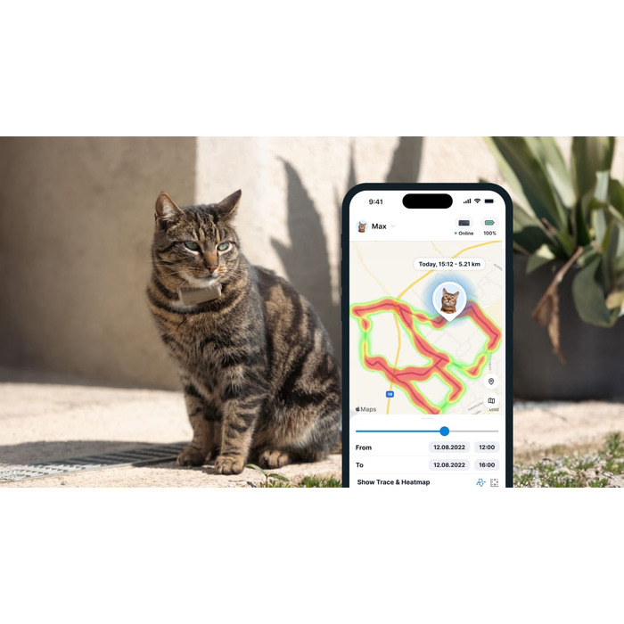 GPS-локатор для котів Tractive CAT Mini з моніторингом здоров'я, коричневий