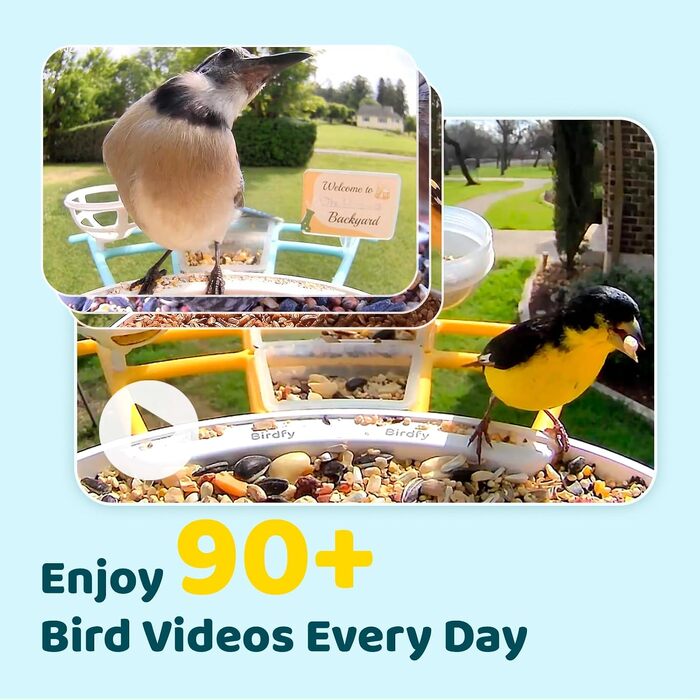 Розумна годівниця для птахів NETVUE Birdfy з камерою для спостереження, сонячною панеллю, кольоровим нічним баченням та автоматичним записом відео (Жовта)