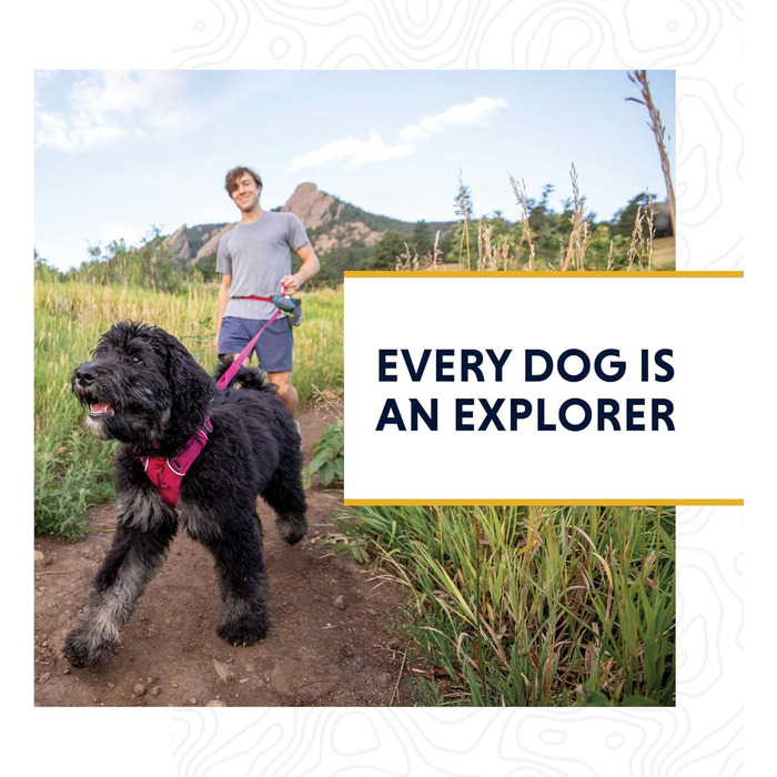 Ruffwear Crag нашийник для собак, світловідбивний, зручний, щоденний, бірюзовий, 28-36 см