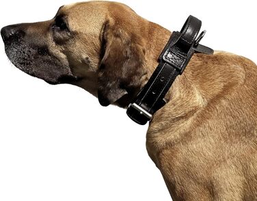 Нашийник для собаки Dingo Gear Drago, амортизуючий, з ручкою, ручна робота, чорний, 48-56 см