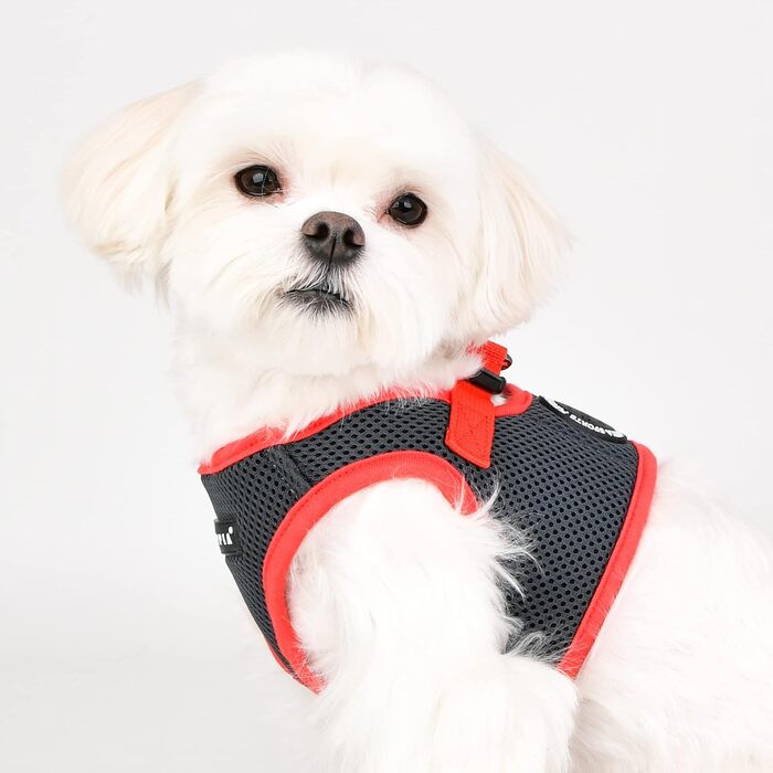 Шлея Puppia Soft Harness II для малих і середніх собак, сіра, S — м'яка, зручна, легка у використанні