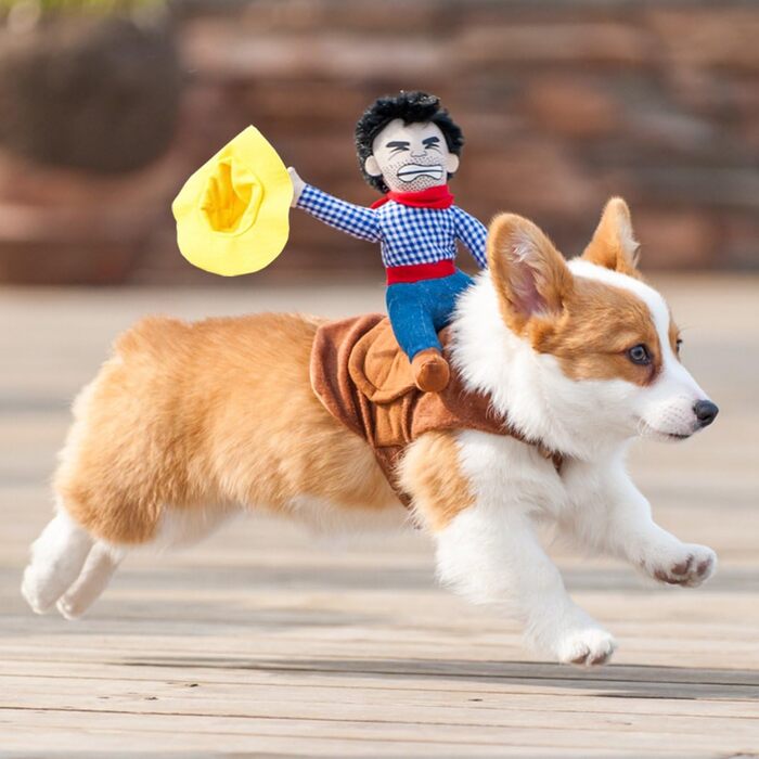 Костюм для собаки Ковбойський стиль: теплий, зручний набір для фотосесій та святкування, XL