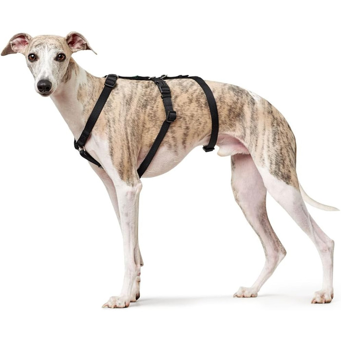 Шлейка безпеки HUNTER VARIO RAPID, паніка-шлейка з додатковим животом, анти-вислизання та регульована, також використовується як класична Y-подібна шлейка, легкі застібки-кліпси, колір: червоний, розмір: M-L червоний M-L