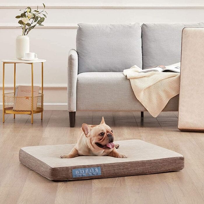 Ортопедичне лежанка для собак з гелевим шаром, водонепроникна, велика та маленька, знімний чохол, кушетка для собак (бежева, L)