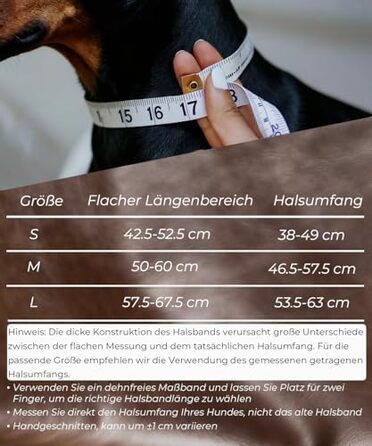 Нашийник для собак шкіряний Leder, 5 см, міцний, ручної роботи, L (38-49 см, золото-чорний)