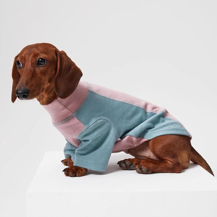 Світшот-куртка для собак Дакль, бавовняний пуловер, комбінезон для мініатюрних даклів, піжама, одяг для тварин з двома ніжками, з довгими рукавами, еластичний, м'який, зручний, рожева футболка для домашніх тварин S