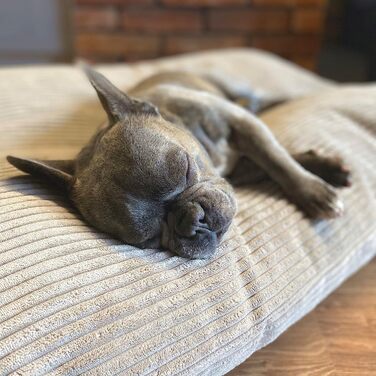 4L Textil ZOE: Лежанка для собак середнього розміру, бежева, 80x60 см, Corduroy (Stripes), знімний чохол на блискавці, зручна, м'яка, миюча