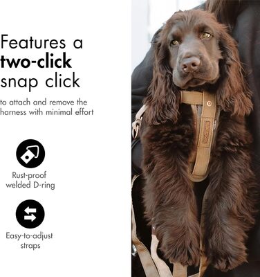 Шлейка для собак EzyDog Auto з кріпленням для безпеки, для малих, середніх та великих собак, світловідбиваюча, з підкладкою (L, Camo)