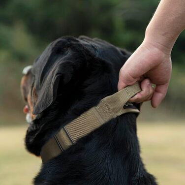 Преміум нашийник для собак TSPRO з ручкою, тактичний, міцний, з металевою застібкою, для собак середніх та великих порід (Помаранчевий L). Розмір ручки L (регульований 44.5-62.2 см). З ручкою розміру M (регульований 36.8-45.7 см), геометричний дизайн