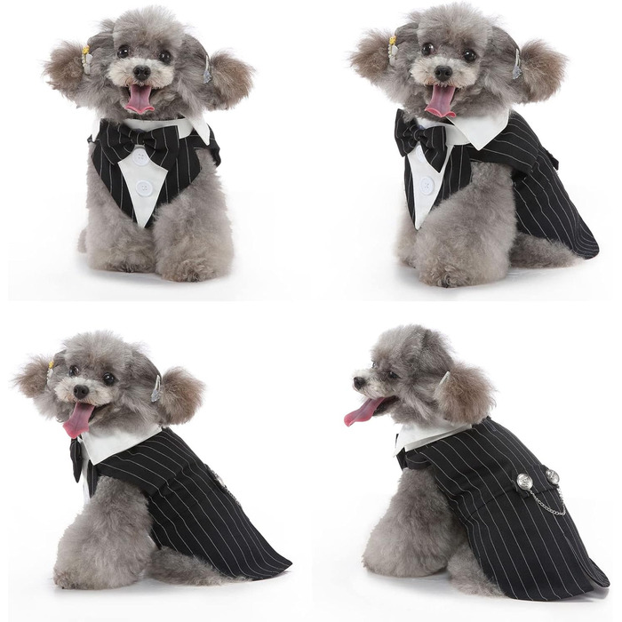 Елегантний костюм для собак Qcwwy: класичний вечірній наряд для собак (M)