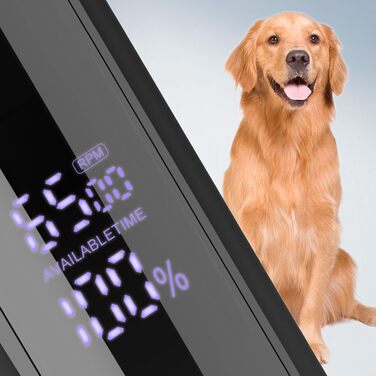 Професійний набір для грумінгу собак FILFEEL з електричною машиною для стрижки та аксесуарами для собак та котів