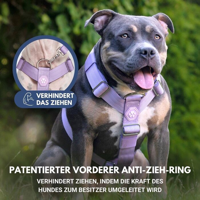 Нашийник для собак Spark Paws No-Pull – фіолетовий, L (36-68 кг) – для великих порід, Pitbull, Боксер