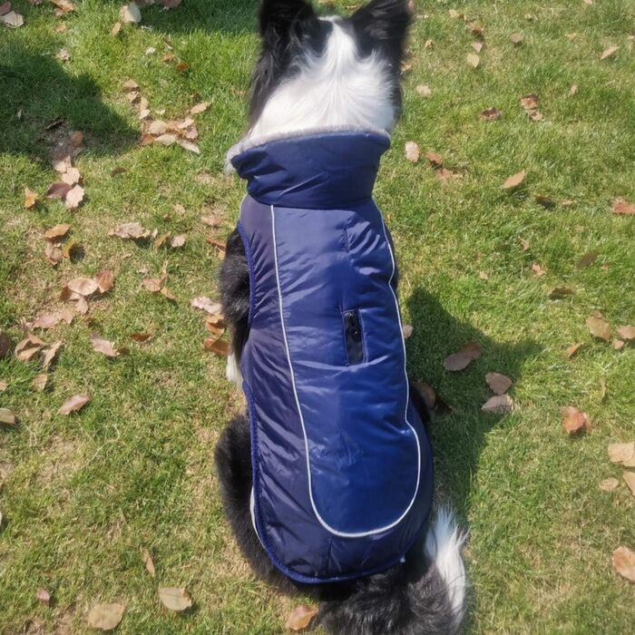 Водонепроникний теплий дощовик для собак з коміром з флісу, з отвором для шлейки, для маленьких, середніх та великих собак, колір: морський, розмір 2XL (Об'єм грудей 75-85 см)