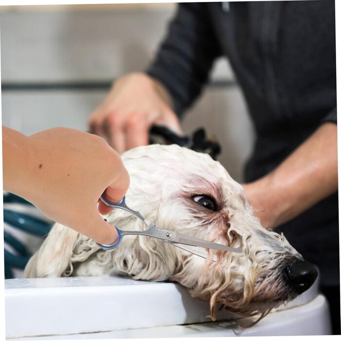 Ножиці для грумінгу домашніх тварин: вигнуті та прямі, ергономічні, з мішком для зберігання та серветкою для чищення