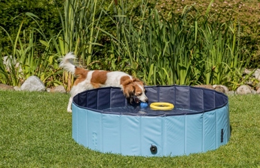 Басейн для собак Trixie 39482, синій
