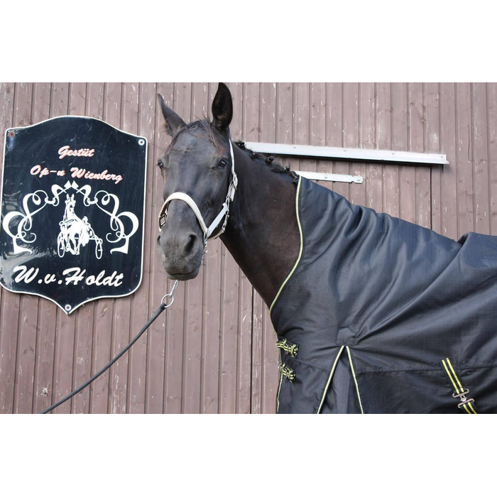 Зимова кінська попона time4horses з високим коміром, утеплена 200 г, водонепроникна, 1200D