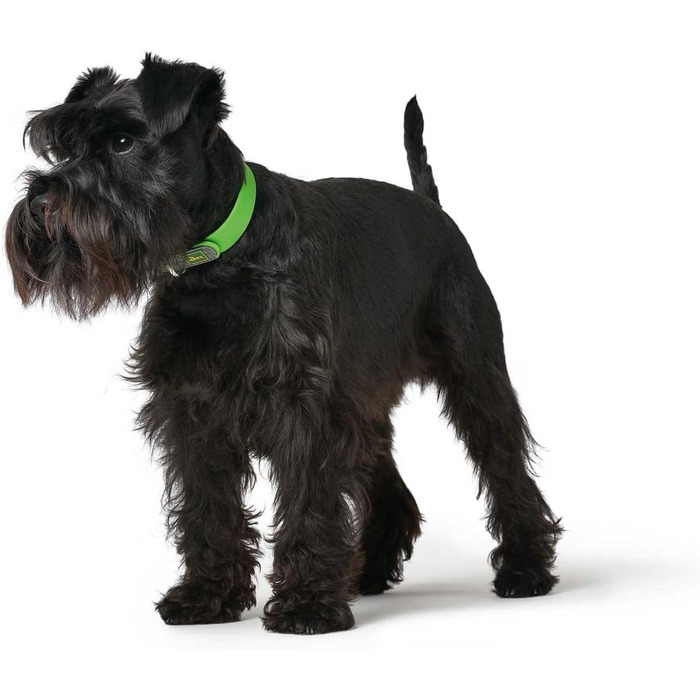 Нашийник для собак HUNTER CONVENIENCE, пластик, зелений (S-M)