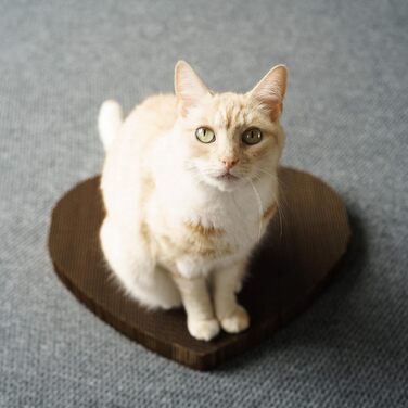 Кігтеточка для котів Americat XL, двостороння, з картону, зроблені в США