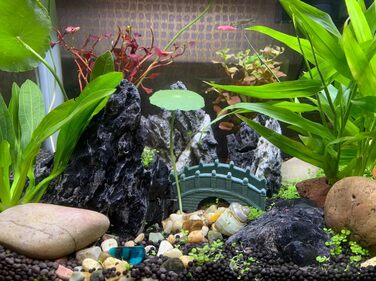 Натуральний камінь Seiryu-Felsenstein 11 LB для акваріума, декор з натурального сланцю 3-8 дюймів для акваріумів, ландшафтного дизайну, мініатюрних садів, феєричних композицій
