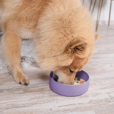 Миска для собак ne&no® Silikon 1200 мл з кришкою для маленьких та середніх собак | Безпечна для холодильника, не ковзає | Набір мисок для собак: миска та кришка (холодна фіолетова)