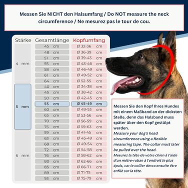 Нашийник для собак з нержавіючої сталі V4A, 64 см, 5 мм, з запобіжником