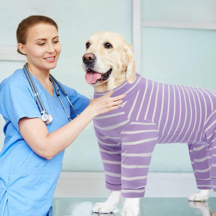 Корсет для собак після операції, після кастрації, для собак, для сук, піжама для собак малого та середнього розміру, фіолетовий, XL