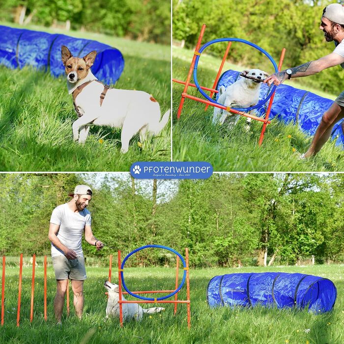 Agility-набір для собак PfotenWunder 9-в-1: слалом, тунель, перешкоди, навчання, ігровий комплект для малих і великих собак