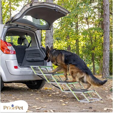 Сходинки для собак у машину – складні, широкі, для великих собак, 4 сходинки, до 105 кг, світяться в темряві, захист суглобів