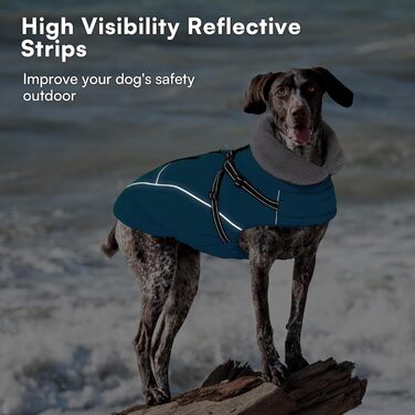 Зимовий теплий водонепроникний одяг для собак Queenmore, куртка для собак з шлейкою, 3-шаровий, світловідбиваючий, для великих порід (Лабрадор, Хаскі, Голден Ретрівер) (2XL) (XS, Коеліновий блакитний)