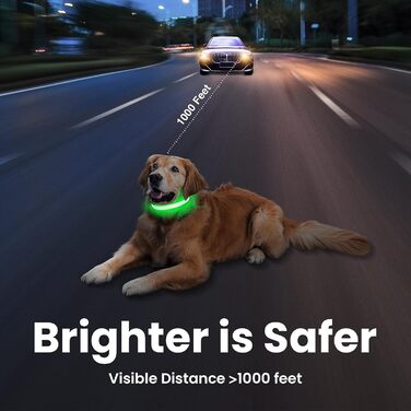 Світловідбиваючий нашийник для собак MASBRILL з LED, USB-C, регульований, водонепроникний, 3 режими світла, розмір M, колір зелений