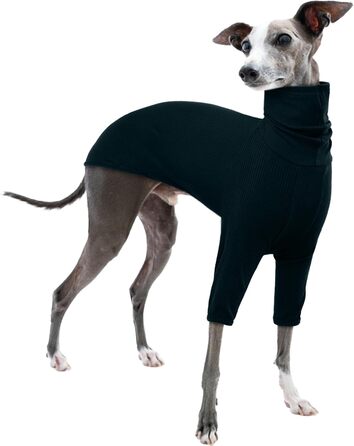 Пуловер для віппета, футболка з коміром-стійкою для віппета, італійський грейхаунд, одяг для грейхаунда, теплий пуловер для собак, XS, темно-зелений
