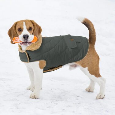 Зимовий теплий одяг для собак Citétoile: куртка з флісу для чихуахуа, такси та інших порід, сірий колір, розмір XS