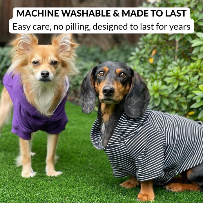 Світшот для собак DJANGO, теплий, м'який, з капюшоном, для маленьких собак до 11,3 кг (Даксель, цуценята), чорний, розмір S