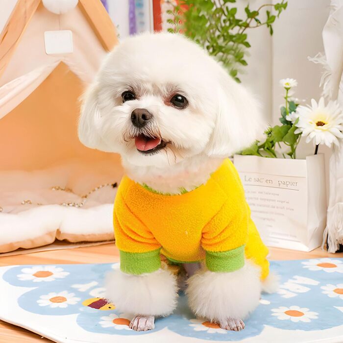 Піжама для собак маленьких порід, фліс, теплий пуловер, комплект 2 шт., X-Small (довжина спини до 22 см), зелений