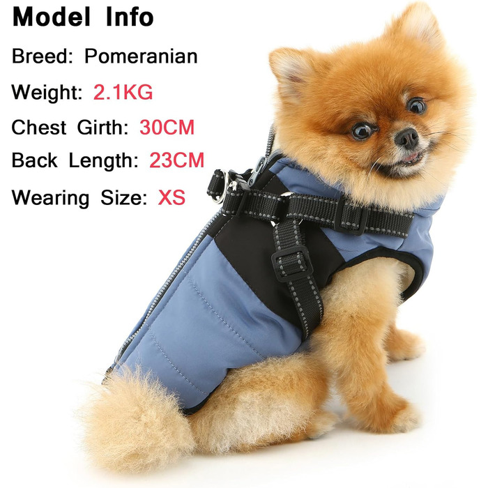 Теплий зимовий одяг для собак та котів - флісова куртка з повдком, D-подібним кільцем, світловідбиваючими елементами, для чихуахуа, йоркширського тер'єра (блакитний, XS)