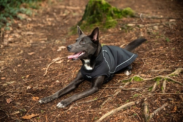 Утеплений дощовик для собак Mountain Paws, розмір S