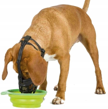 Еластичний намордник Trixie Muzzle Flex, розмір L (TX-17614)
