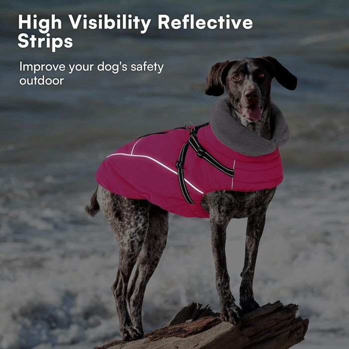 Зимовий теплий куртка для собак Queenmore, водонепроникний, з кріпленням для шлейки, 3-шаровий, світловідбиваючий, для великих порід (Лабрадор, Хаскі, Голден Ретрівер), розмір 2XL (XS, Рожевий)