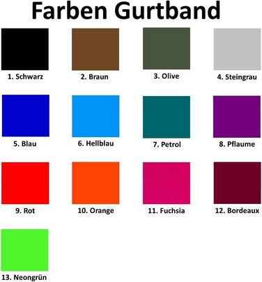 Ошийник для собак з можливістю персоналізації - XS-XXL - індивідуальне замовлення: вишивка імені та номеру телефону - широкий та регульований