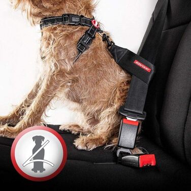 Автомобільна шлея для собак EzyDog Chest Plate, з ременем безпеки, анатомічна та м’яка, світловідбивна, для малих, середніх і великих собак, розмір M, фіолетова