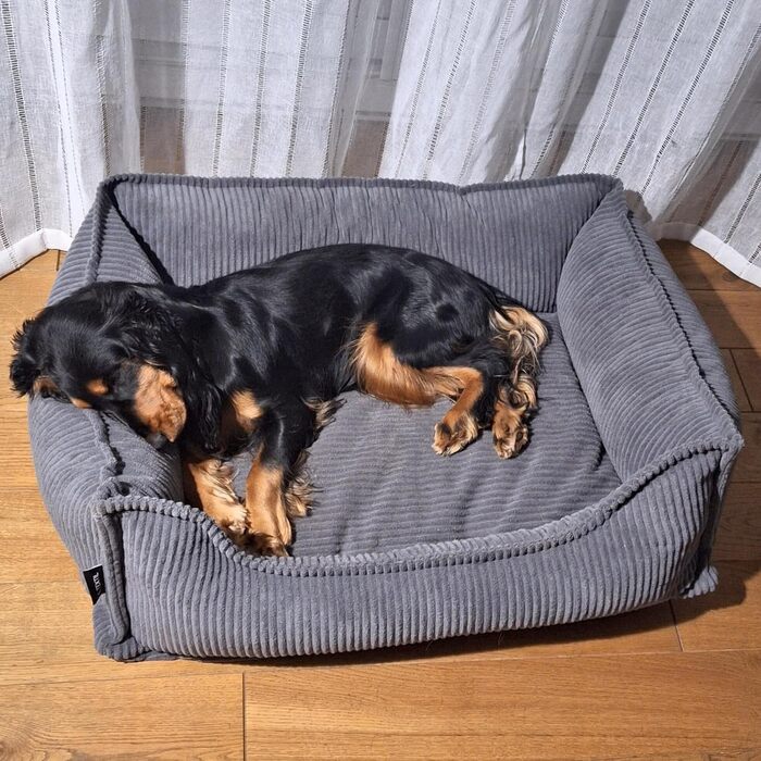 М'яке собаче ліжко 80x60 см з ортопедичною піною Memory Foam, Cord, Hugo Premium-LINE, для маленьких собак, знімний чохол, темно-сірий