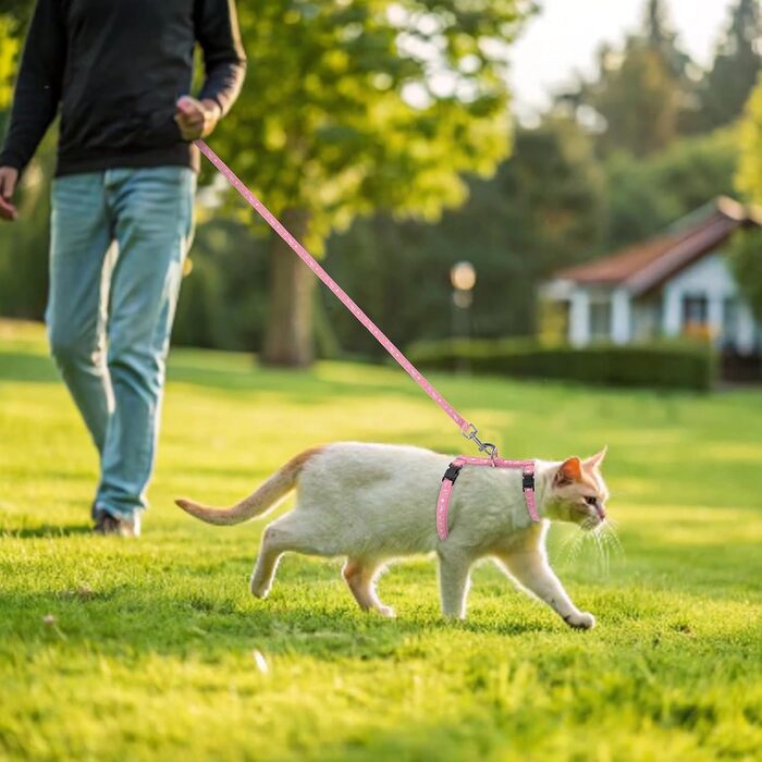 Шлейка для кота PAWCHIE з повідком та ошийником, антивипадкова, регульована, світиться в темряві, для кошенят, для прогулянок на вулиці (Рожева, Small)