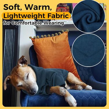 Флісовий худі для собак Lelepet з капюшоном та отвором для повідка, теплий, для осені та зими, на блискавку, стильний одяг для собак маленьких, середніх та великих порід, зелений (Medium, Blue)