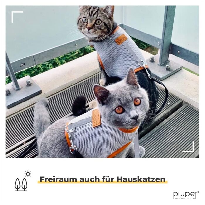 Шлейка для котів PiuPet (M) з повідком 1,2 м, протиутечна, комплект шлейка і повідок для кішок