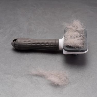 Набір для грумінгу 6er Mega-Set: щітки для собак та котів, включаючи щітки для видалення ковтунів. Ідеальне аксесуар для догляду за шерстю вашого улюбленця