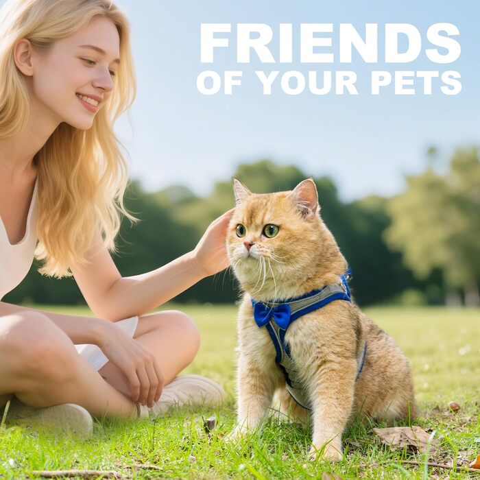 Шлейка для котів та маленьких собак, кроликів: легка, дихаюча, з м'якої сітки, чорна (S, блакитна)