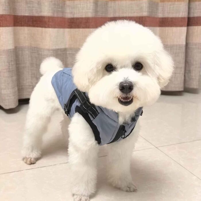 Теплий водонепроникний одяг для собак, зимова жилетка, куртка, сніговий одяг для собак з міцною шлейкою для холодної зими, блакитний, 3XL XXXL