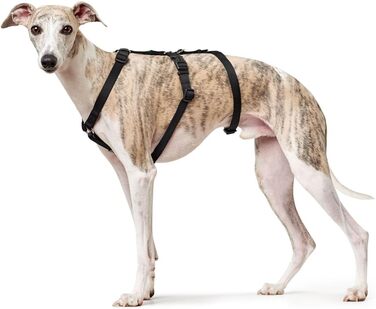 Шлейка безпеки HUNTER VARIO RAPID, паніка-шлейка з додатковим животом, анти-вислизання та регульована, також використовується як класична Y-подібна шлейка, легкі застібки-кліпси, колір: червоний, розмір: M-L червоний M-L